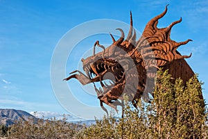 Dragon's head in Galleta Meadows photo