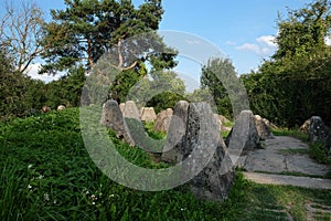 Dragon`s teeth of the for of the fortified front Oder-Warthe-Bogen nearby the `Werkgruppe Scharnhorst`