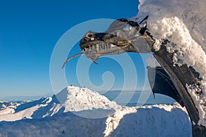 Dragon Sculpture on the top of Chopok Mountain