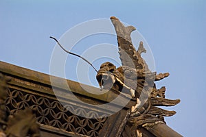 Dragon sculptures on Chinese roofs