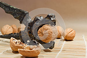 Dragon Shape Nutcracker