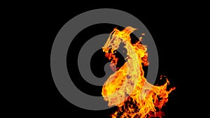 Dragon-shaped fire. Fire in the form of a dragon. Fire flames on black background. fire on black background isolated. fire pattern