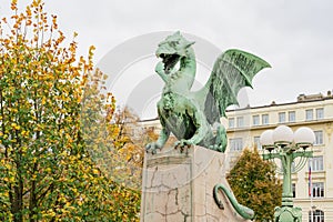 The dragon statue of Dragon Bridge (Zmajski most photo