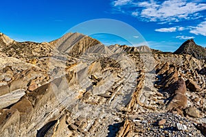 Dragon Tail, Colas de Dragon in Tabernas Desert in Almeria, Spain photo