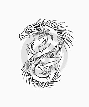 Dragon tattoo ink drawing isolated on white
