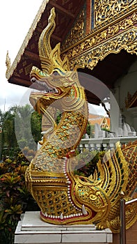 Dragon at temple