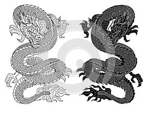 Dragon vector tattoo and illustration design with Sakura branch and flower on background.