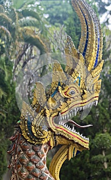 A Dragon of Wat Chedi Liam, Wiang Kam, Chiang Mai, Thailand