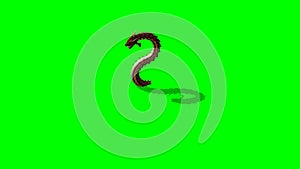 Dragon worm appears and disappears - green screen