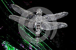 Dragonfly abstract modern art