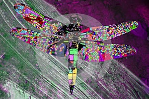 Dragonfly abstract modern art