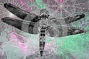 Dragonfly abstract modern art