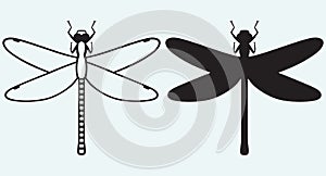 Dragonfly Anax Imperator