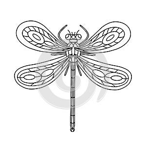 Dragonfly Beetle-Insect coloring book