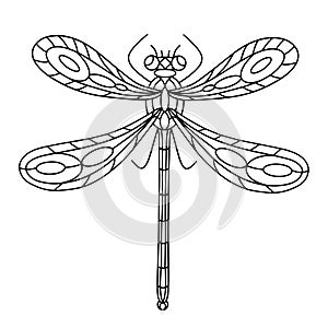 Dragonfly Beetle-Insect coloring book.illustration
