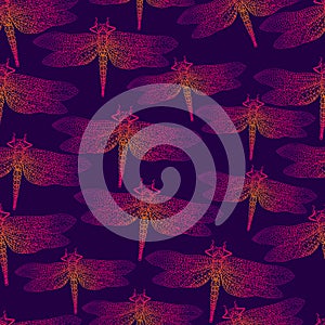 Dragonfly, bright insect, seamless pattern. Gradient orange pink