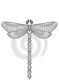 Dragonfly doodle coloring book page. Black and white vector zentangle illustration.