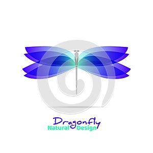 Dragonfly flat icon with soft transition colors wings. Abstract bright logo template. Vector design wildlife