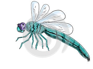 Dragonfly Flying Color Drawing