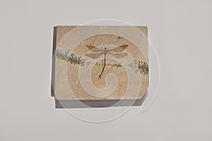 Dragonfly Fossil