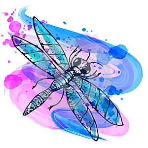 Dragonfly hand-painted on a watercolor purple blue and pink background.