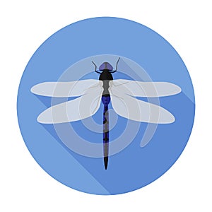 Dragonfly icon flat sign/symbol insect bug