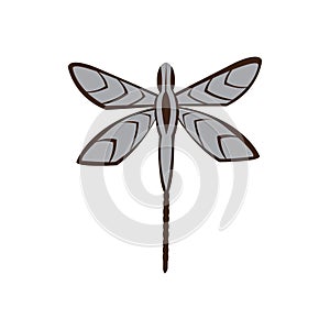 Dragonfly illustration of a simple color vector design