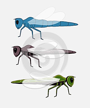 Dragonfly Insects Vector
