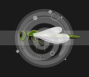 Dragonfly Insects Vector Illustration