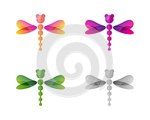 Dragonfly Logo and Icon Design