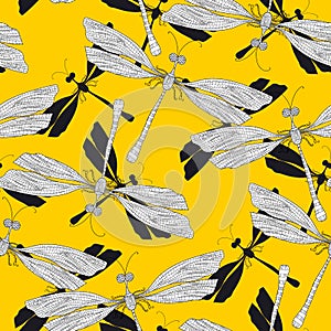Dragonfly, odonata hand drawn seamless pattern