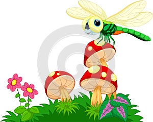 Dragonfly perched on mushrooms