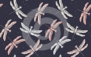 Dragonfly seamless pattern. Pink vintage retro print. Hand drawn vector illustration. Pink purple pattern in pastel