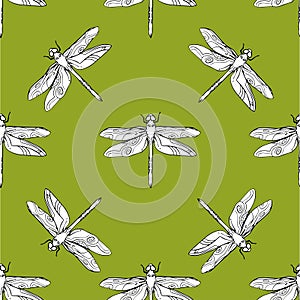 Dragonfly seamless pattern vector hand drawn illustration