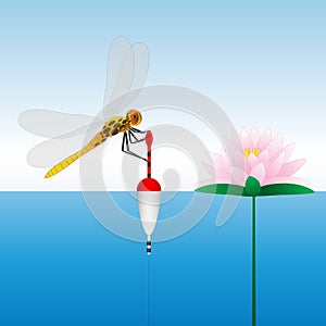 Dragonfly sitting on the float. Water lily. Water. Fishing.