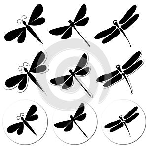 Dragonfly stickers photo