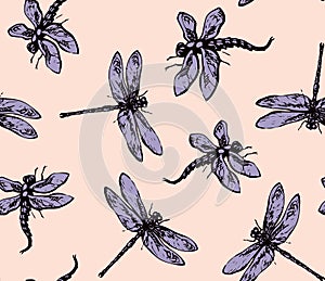 Dragonfly. Vector drawing