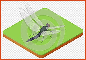 Dragonfly vector eps