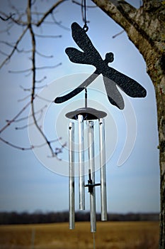 Dragonfly Wind Chimes