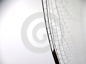 Dragonfly wing close up background with zoomed transparent lattice