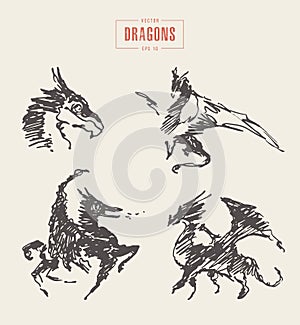 Dragons logo hand drawn vector illustration sketch