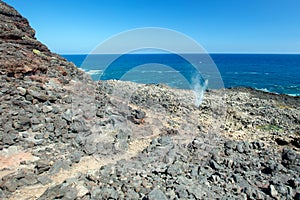 Dragons nostrils blowhole spewing seawater next to hiking trail at the popular Makapuu tidepools on the north shore of Oahu Hawaii