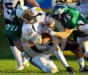 Dragons vs. Panthers