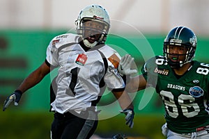 Dragons vs. Panthers