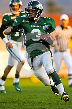 Dragons vs. Panthers