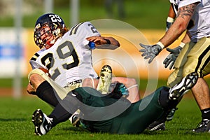 Dragons vs. Panthers