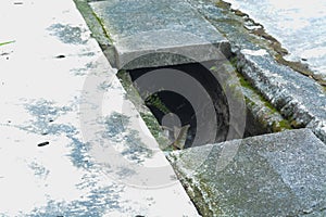 Drain covers have gone missing, possibly stolen from the roadside, leaving open hazards that pose risks to motorists and