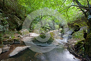 Drain of Ojo GuareÃÂ±a photo