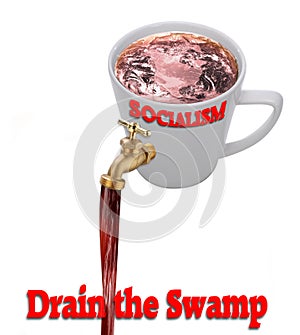 Drain the Swamp photo