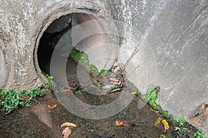 Drain water. Dirty drain and water pollution